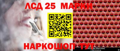 гидра Славгород