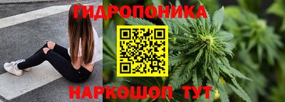 прущие грибы Северобайкальск