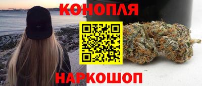 прущие грибы Северобайкальск