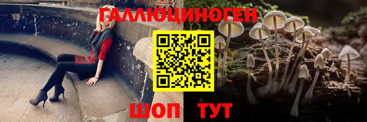 Псилоцибиновые грибы GOLDEN TEACHER Обнинск